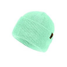Čiapka P.A.C. Dalera Beanie - Mint